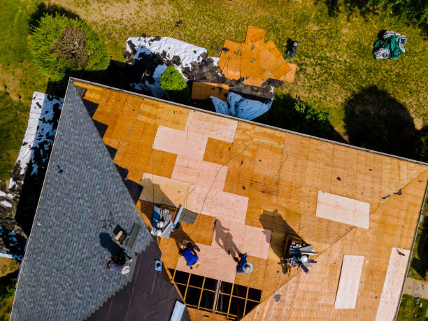 Best Storm Damage Roof Repair  in Lodi, OH