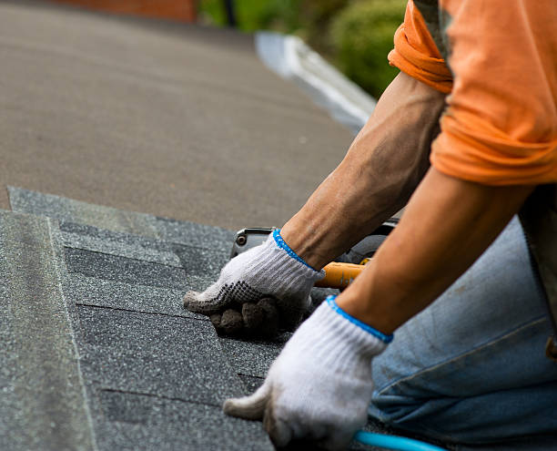 Best Shingle Roofing Installation  in Lodi, OH