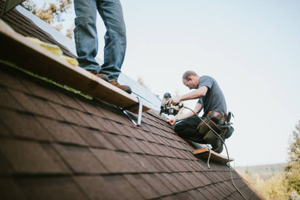 Best Metal Roofing Contractor  in Lodi, OH